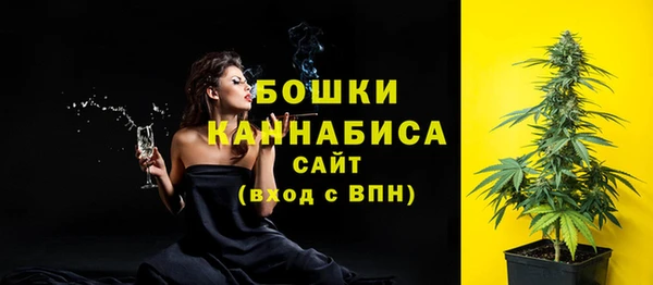 крисы Арсеньев
