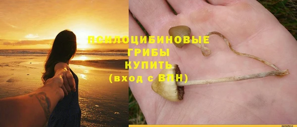 винт Аркадак