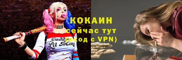 винт Аркадак
